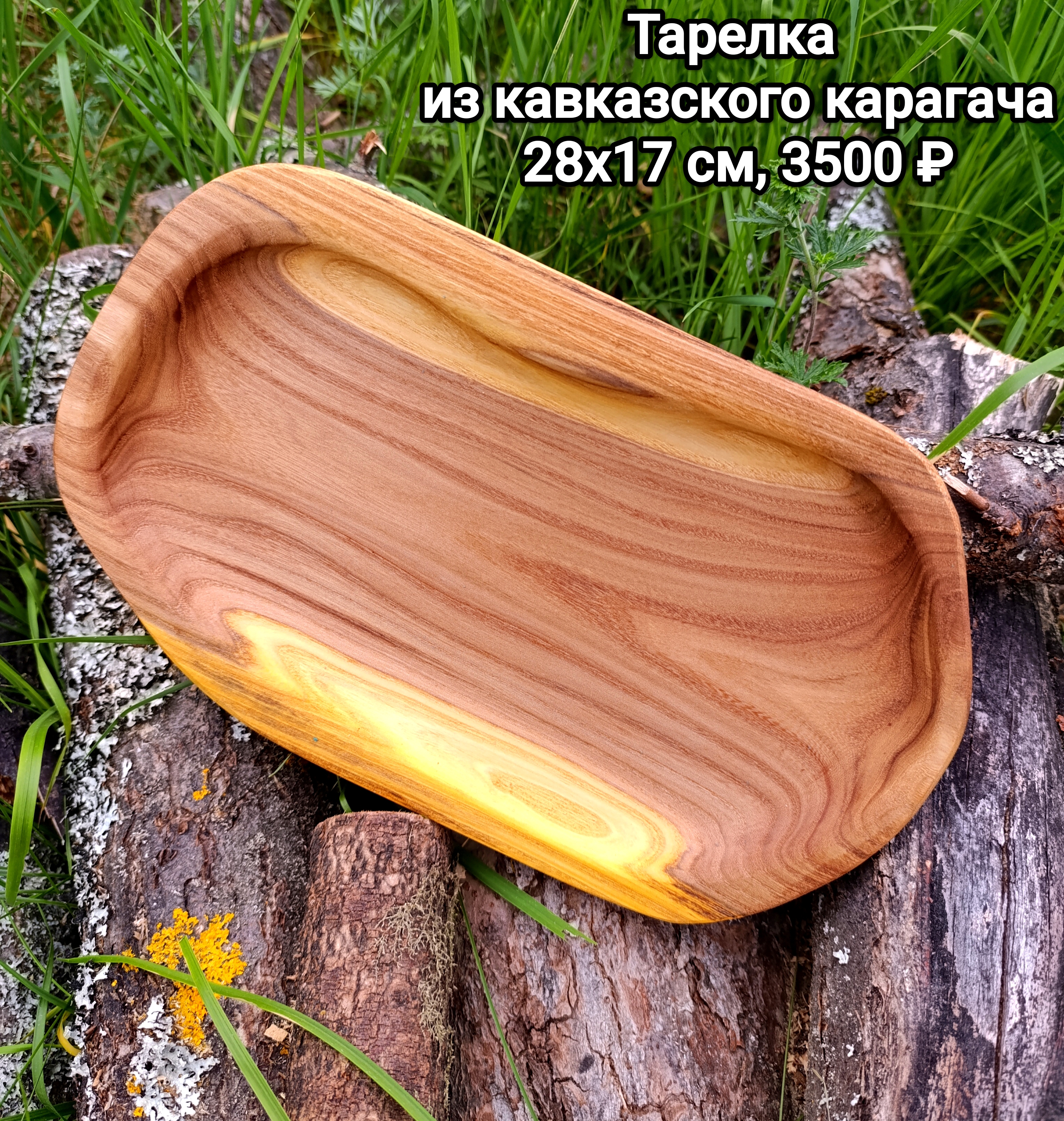 Тарелки из карагача на фоне травы. 