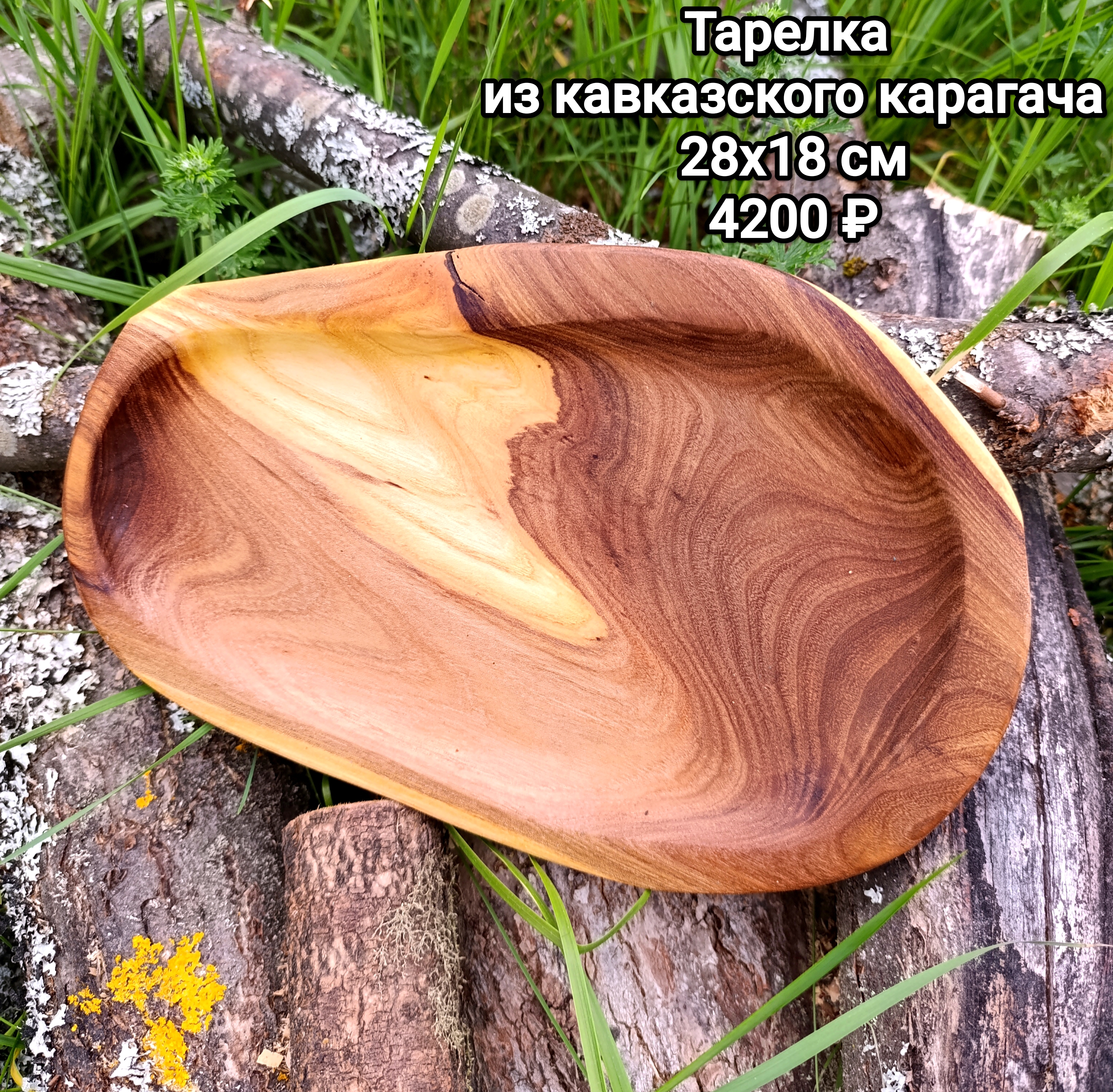 Тарелки из карагача на фоне травы. 