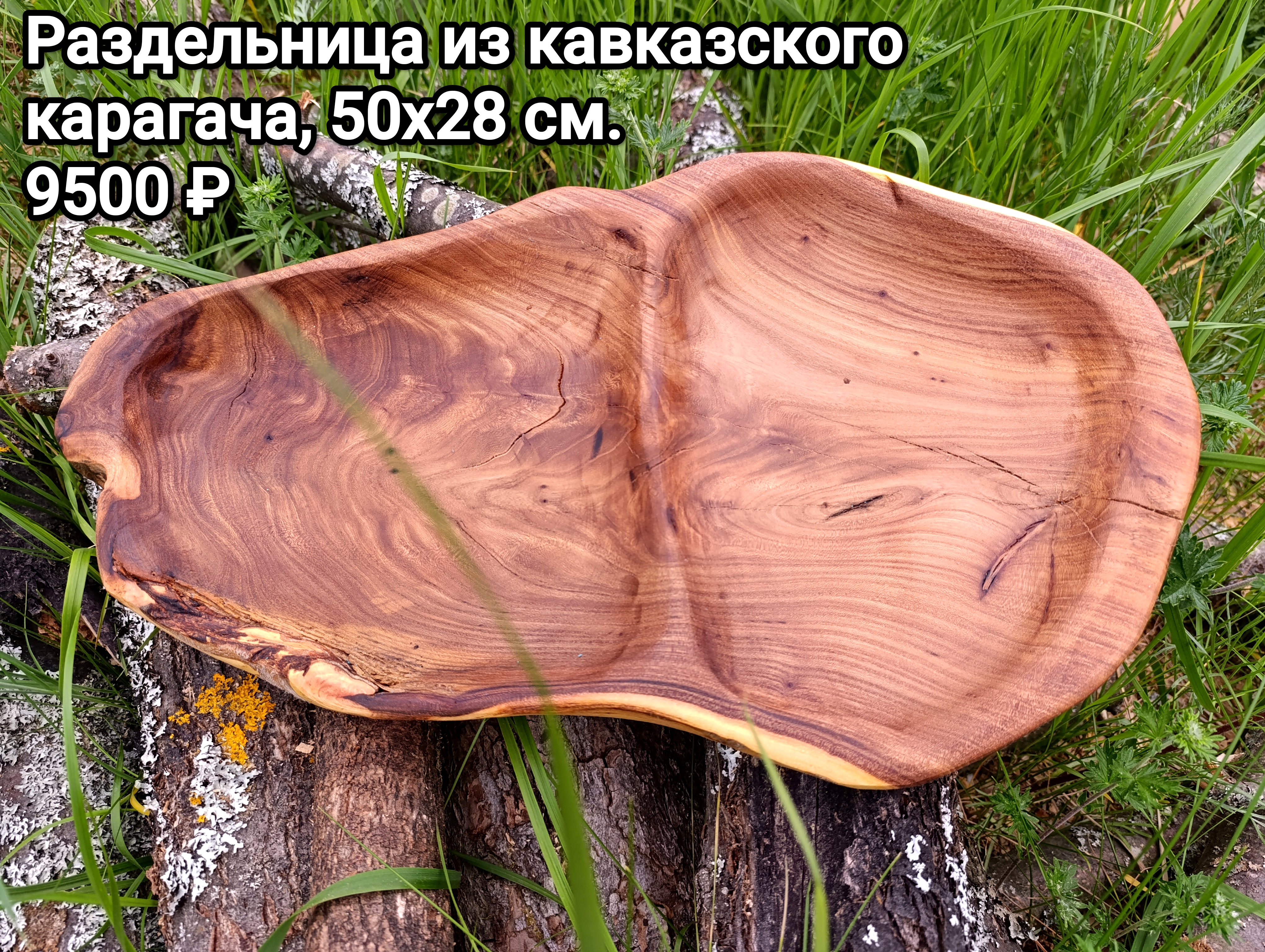 Тарелки из карагача на фоне травы. 